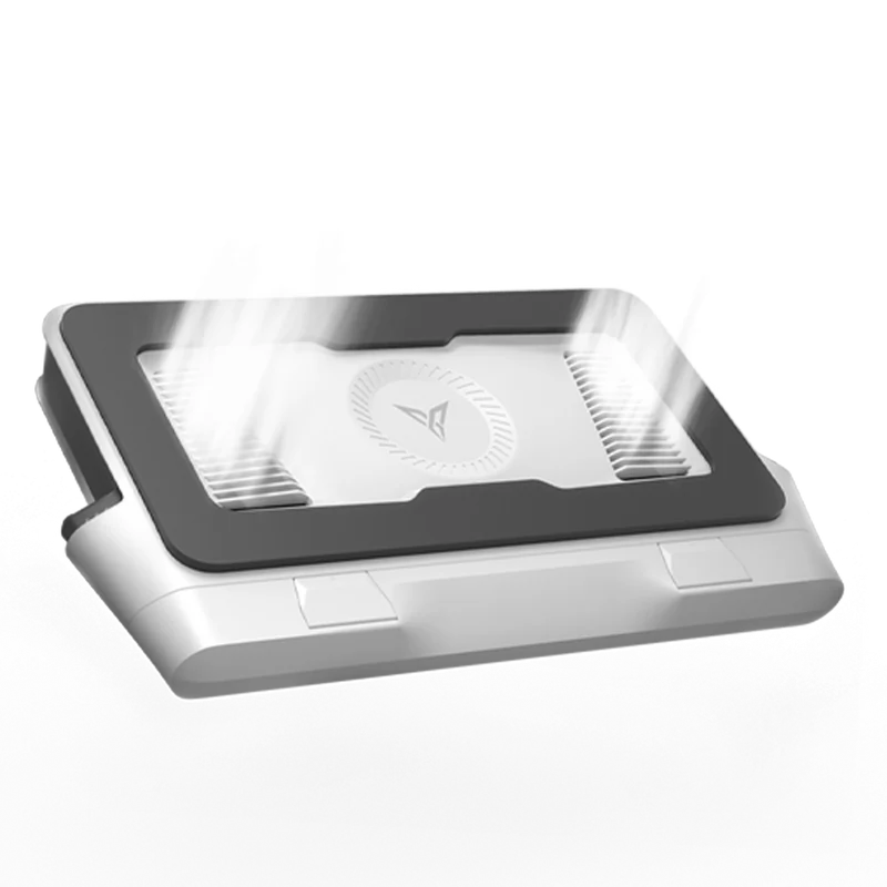 Flydigi BS2